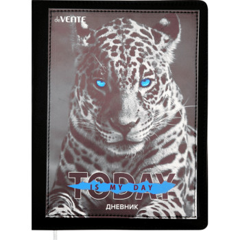 Дневник Today. Leopard deVENTE 2021127