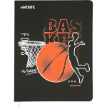 Дневник "deVENTE. Basketball" универсальный блок, офсет 1 краска, белая бумага 80 г/м², гибкая обложка из искусственной кожи, шелкография, отстрочка, 1 ляссе